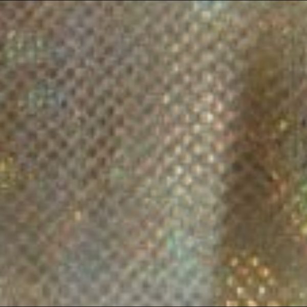 lycra spalmata cangiante